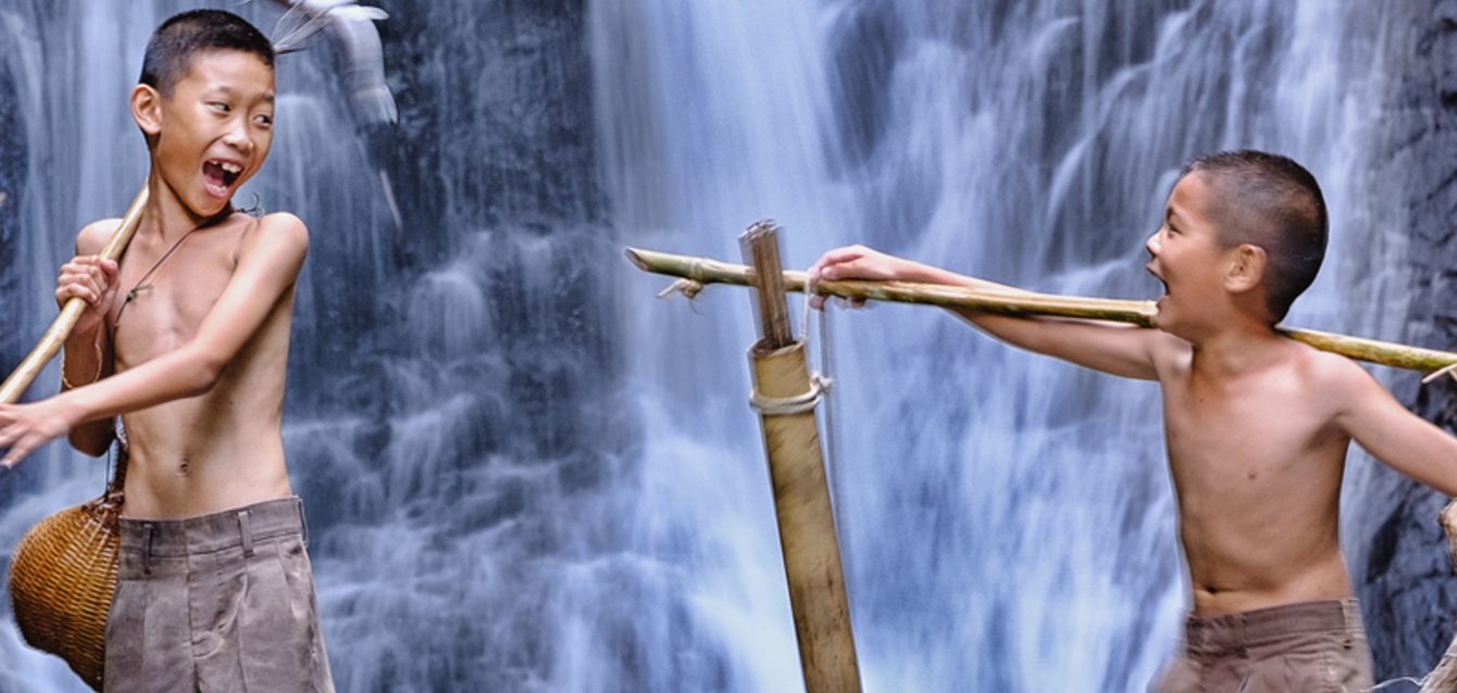 Sustainability Edition