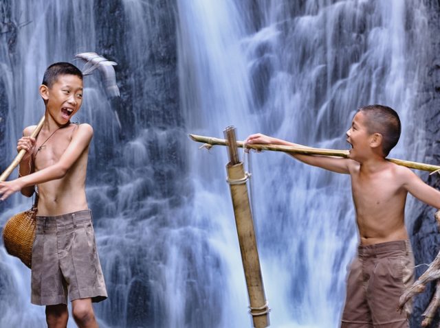 Sustainability Edition